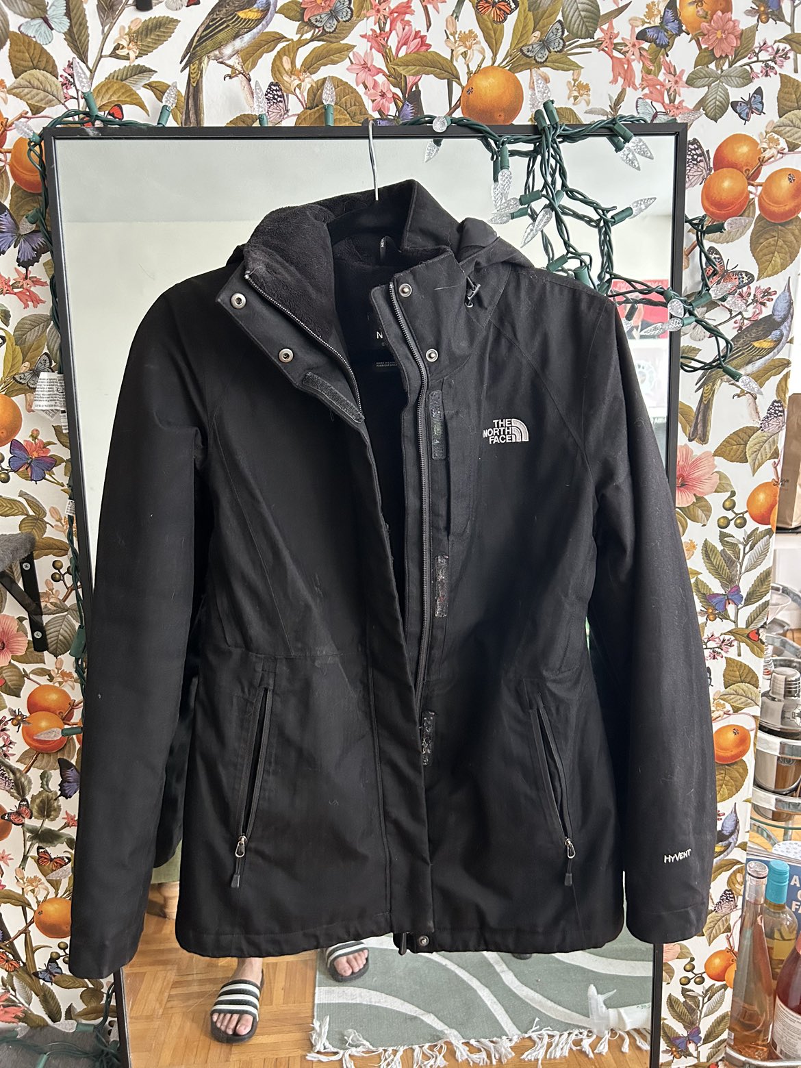The North Face winter jacket thumbnail