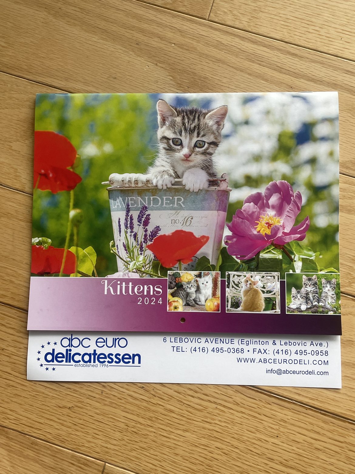 Free kitten wall calendar thumbnail
