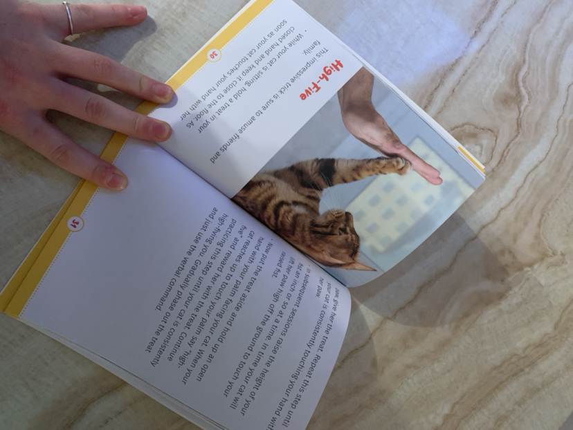 Cat training book #freecycle image indicator(3)
