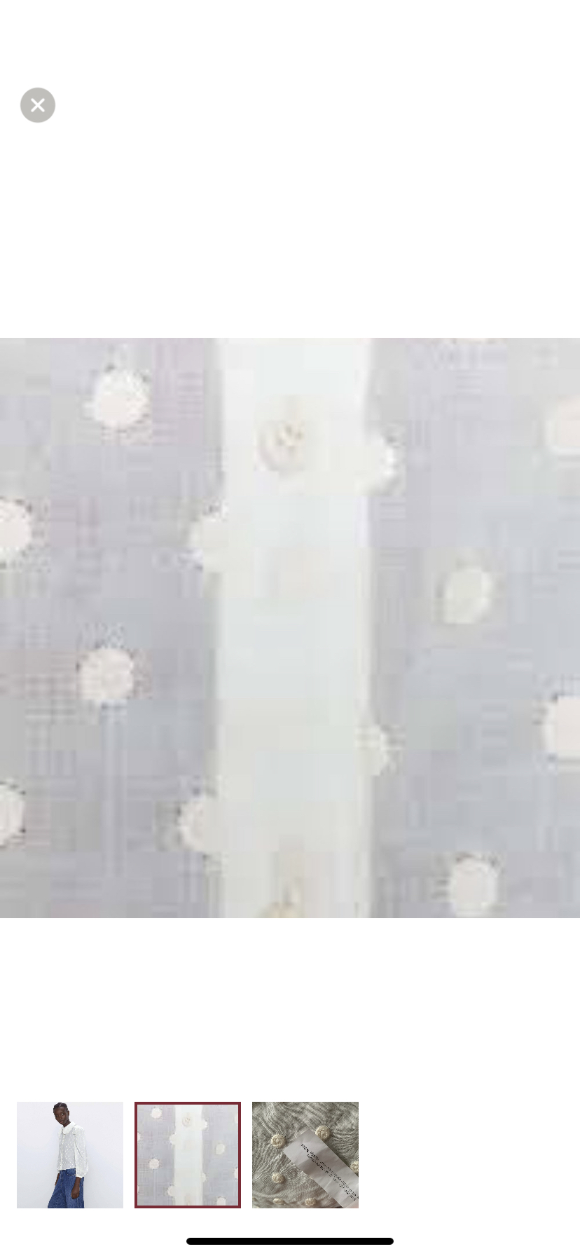 NWT Zara Romantic Blouse - Medium image indicator(2)