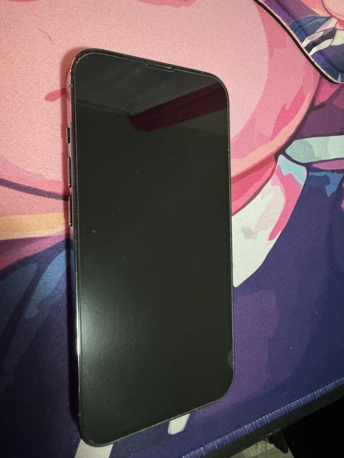 Iphone 13 Pro - 128 gb - Sierra Blue - photo 2