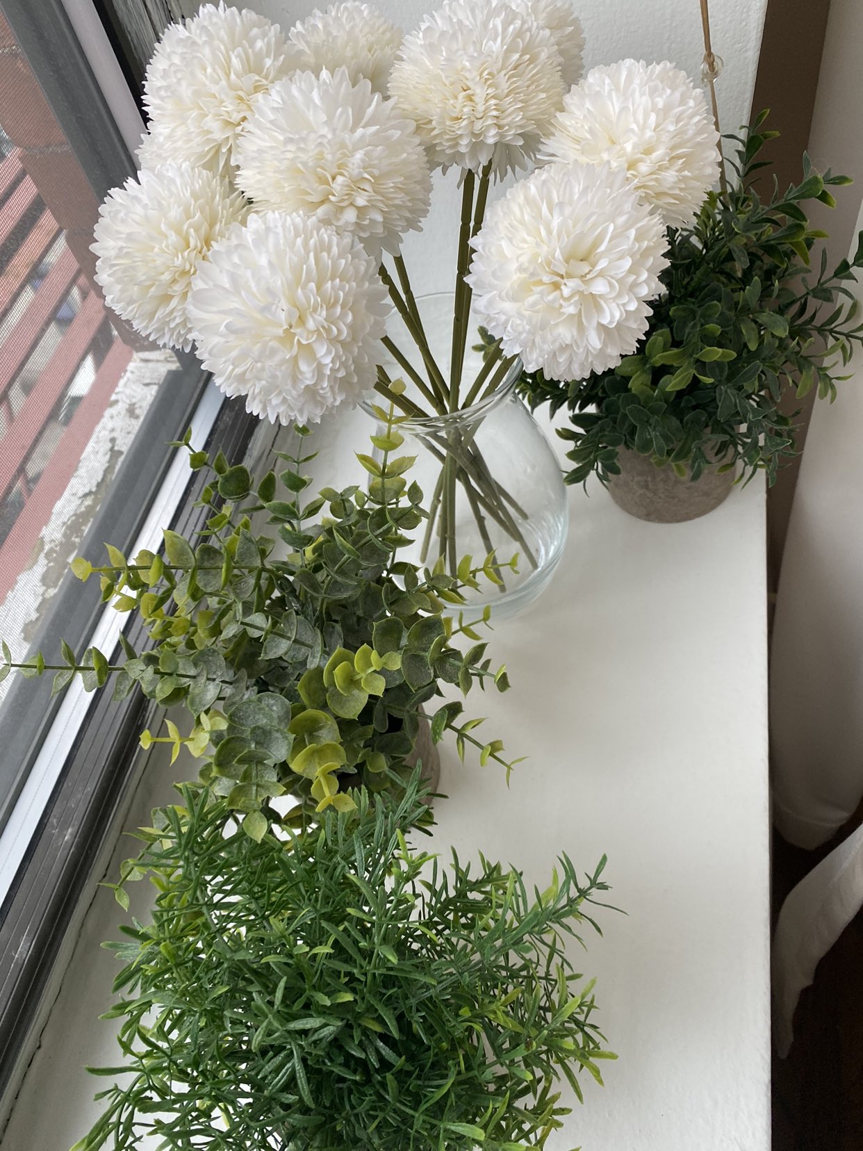 Assorted plants as shown - photo 3
