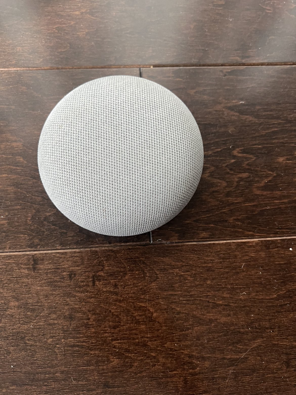 Google Mini