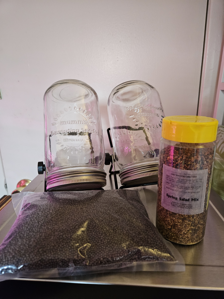 sprouting jars and seeds