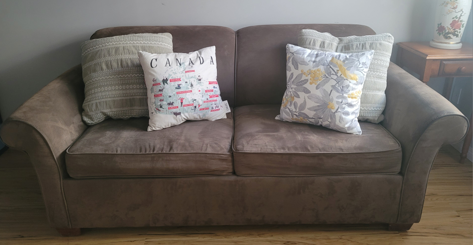pull out sofa  bed