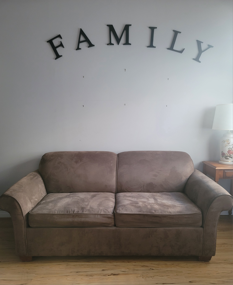 pull out sofa  bed - photo 3