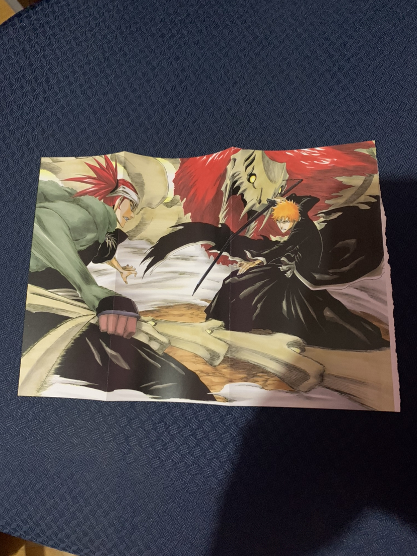 Bleach the official character book image indicator(6)