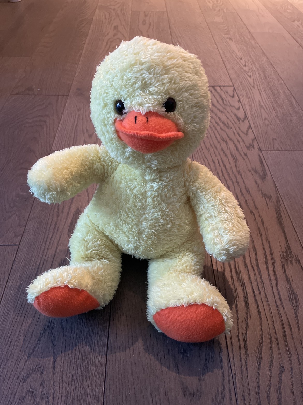 Ducky for free #free #freecycle thumbnail