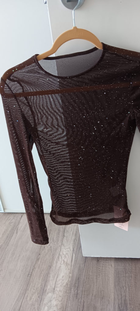 XS _Shein Lune Sheer Mesh Long Sleeve Top image indicator(2)