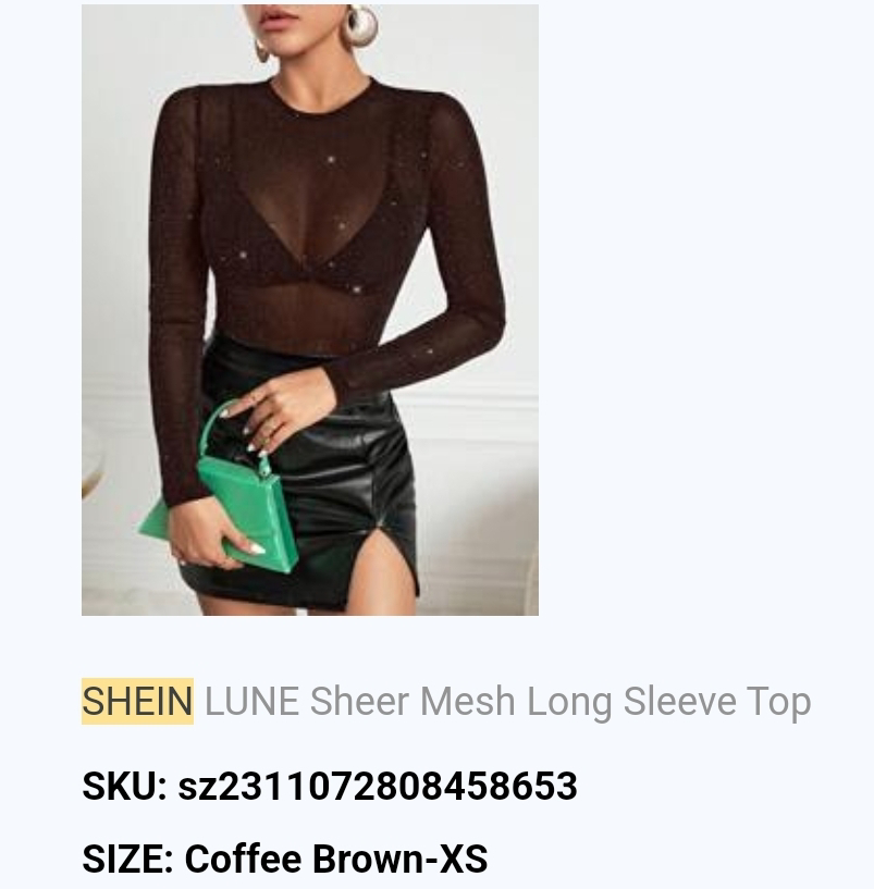 XS _Shein Lune Sheer Mesh Long Sleeve Top image indicator(3)