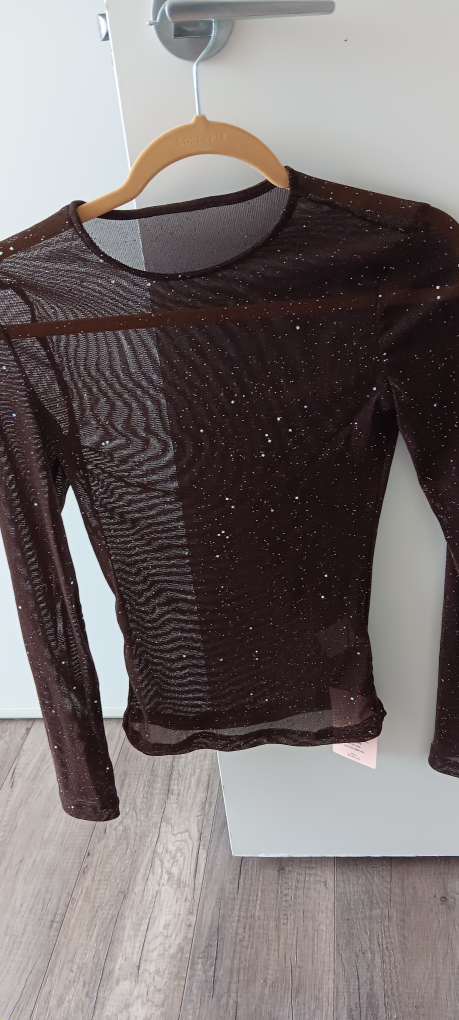 XS _Shein Lune Sheer Mesh Long Sleeve Top image indicator(4)