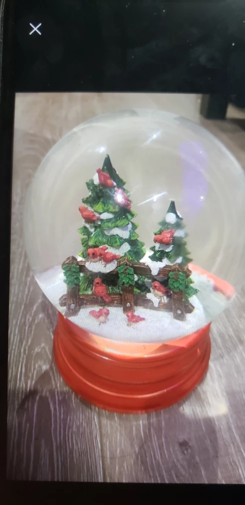 $25 Martha Stewart musical snow globe