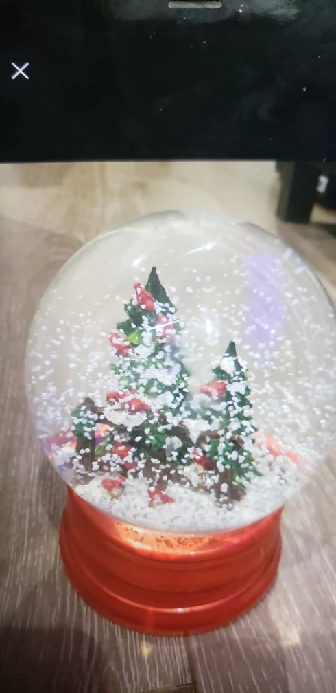 $25 Martha Stewart musical snow globe - photo 2