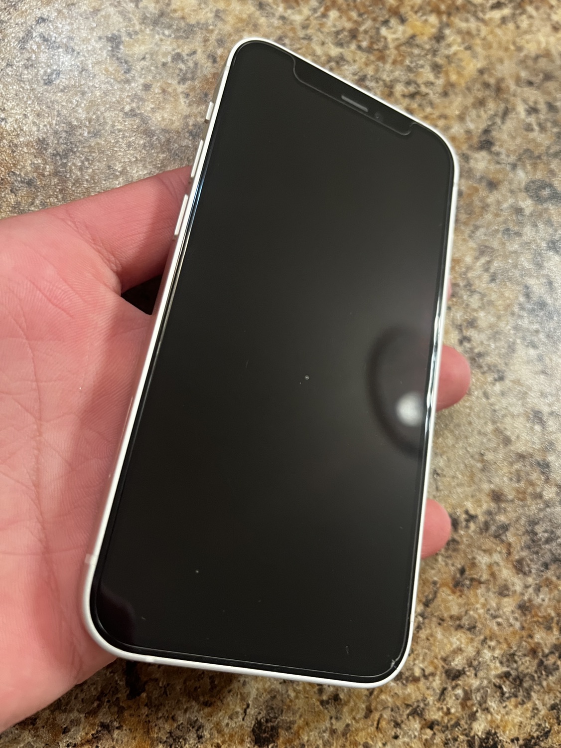 Iphone 12 mini - photo 4