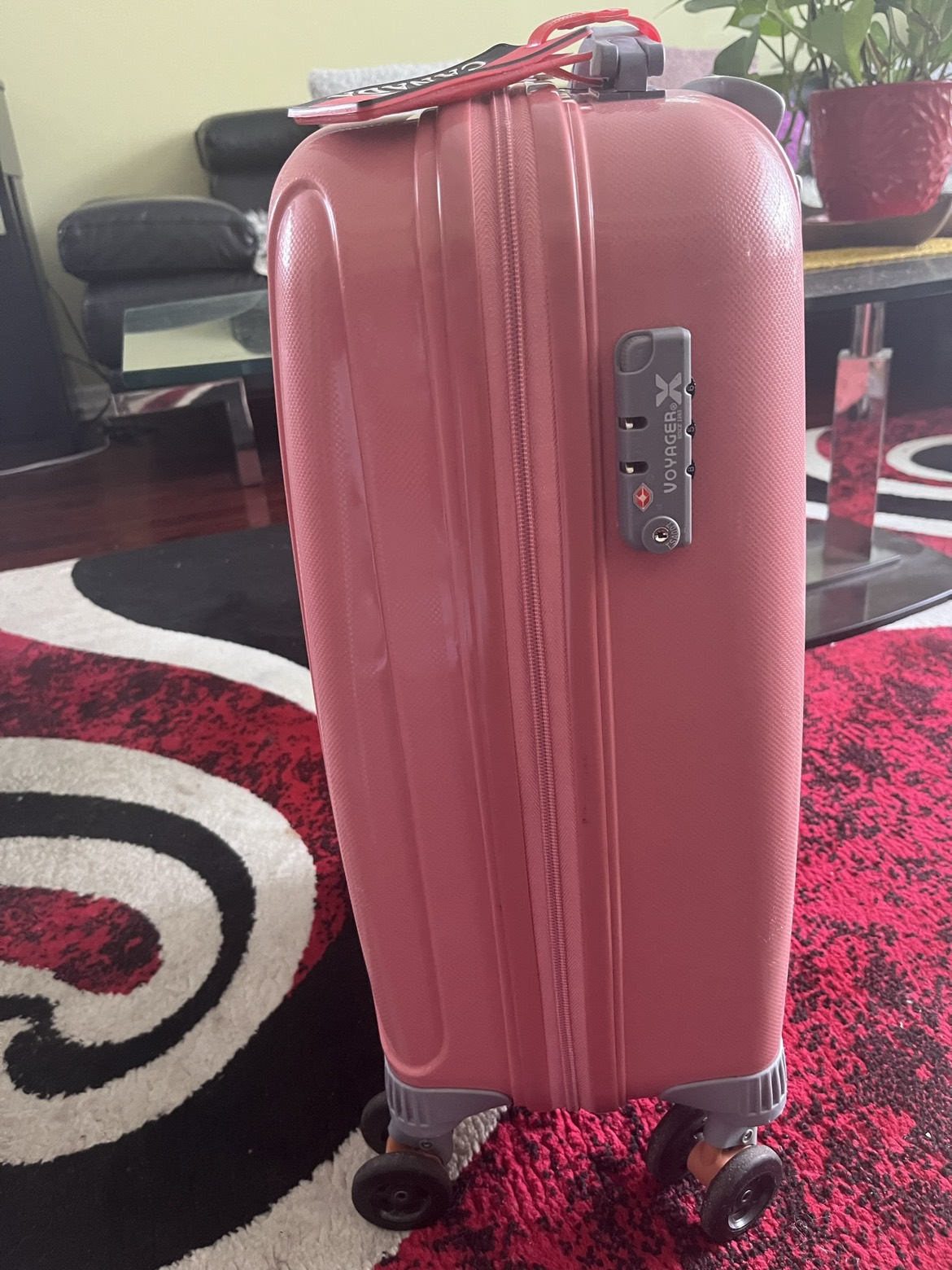 Carry on luggage image indicator(2)