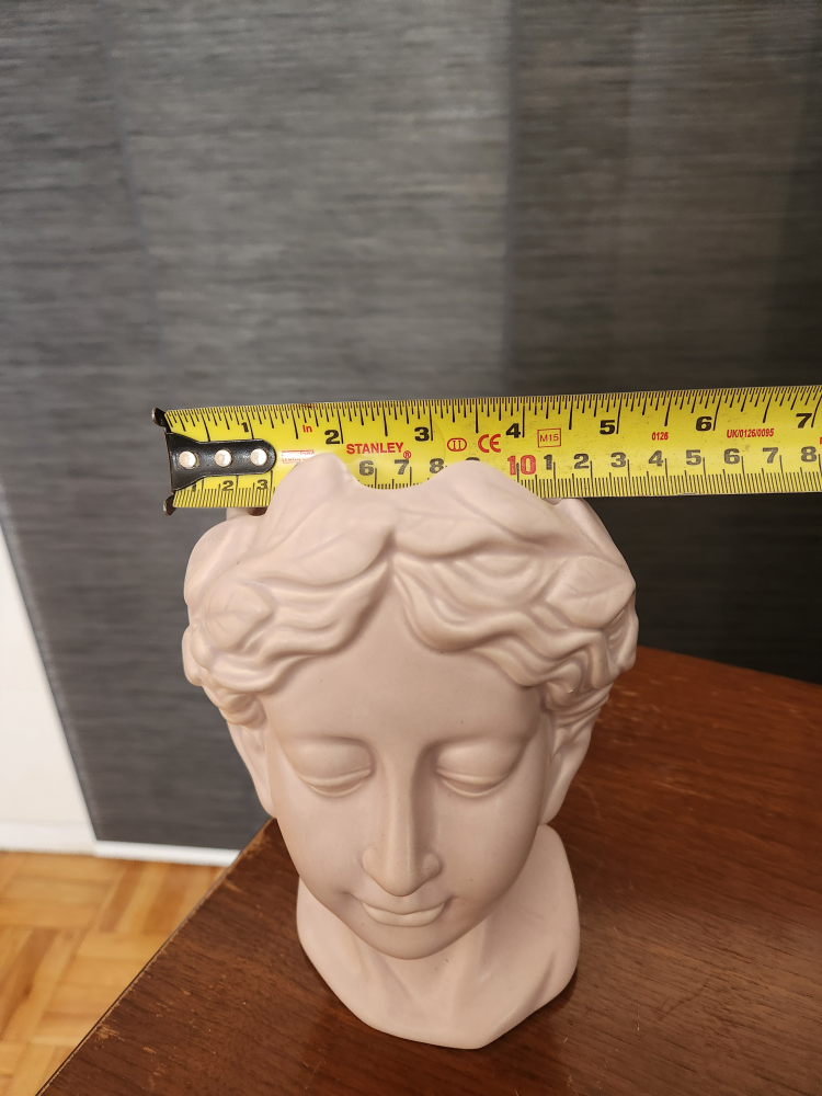 bust image indicator(6)