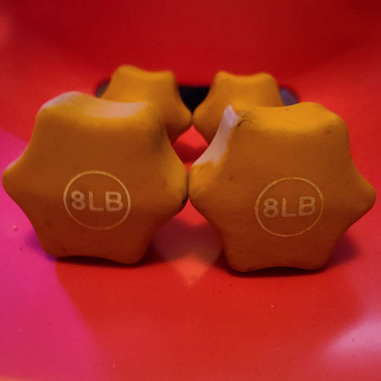 8 pound hand weights