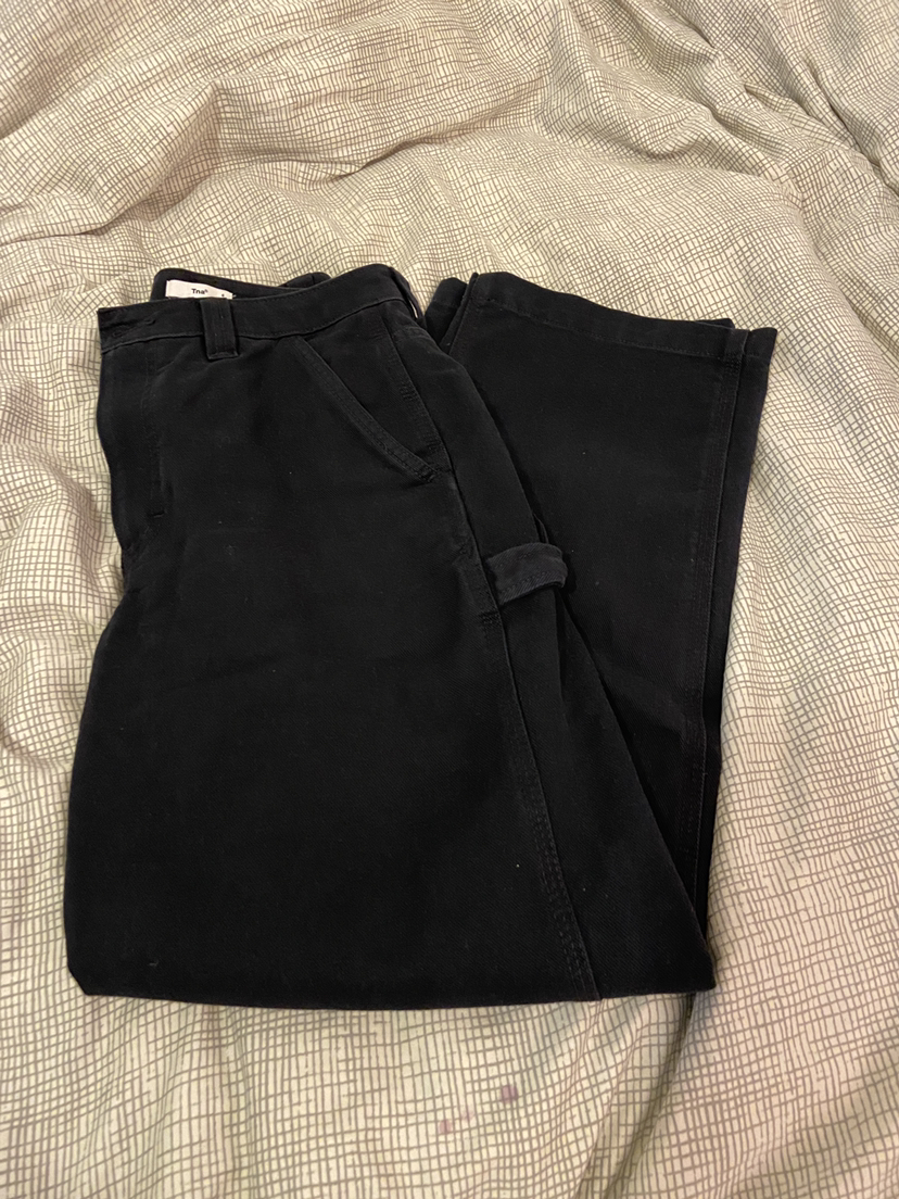 aritzia tna carpenter pants