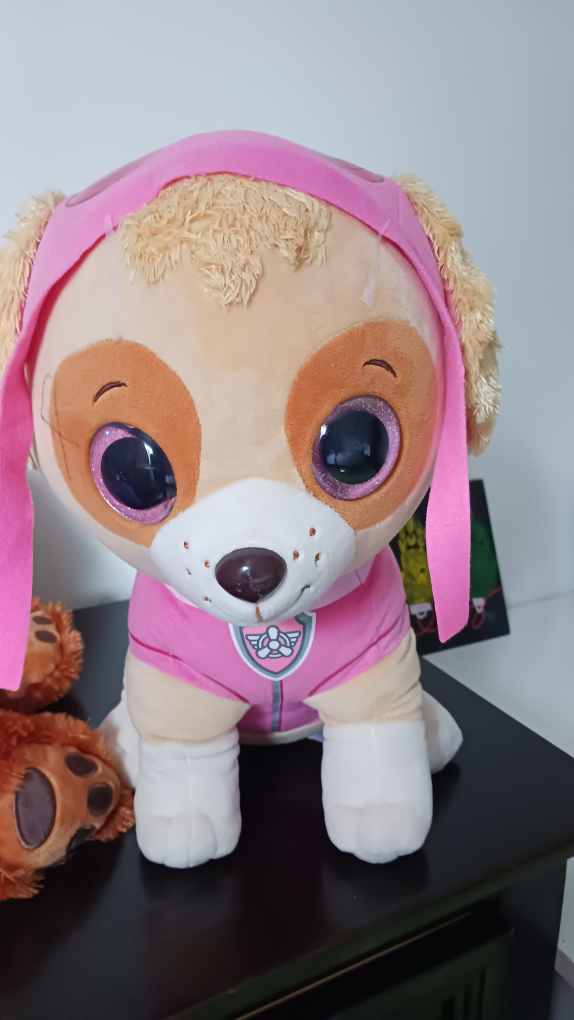 Toy