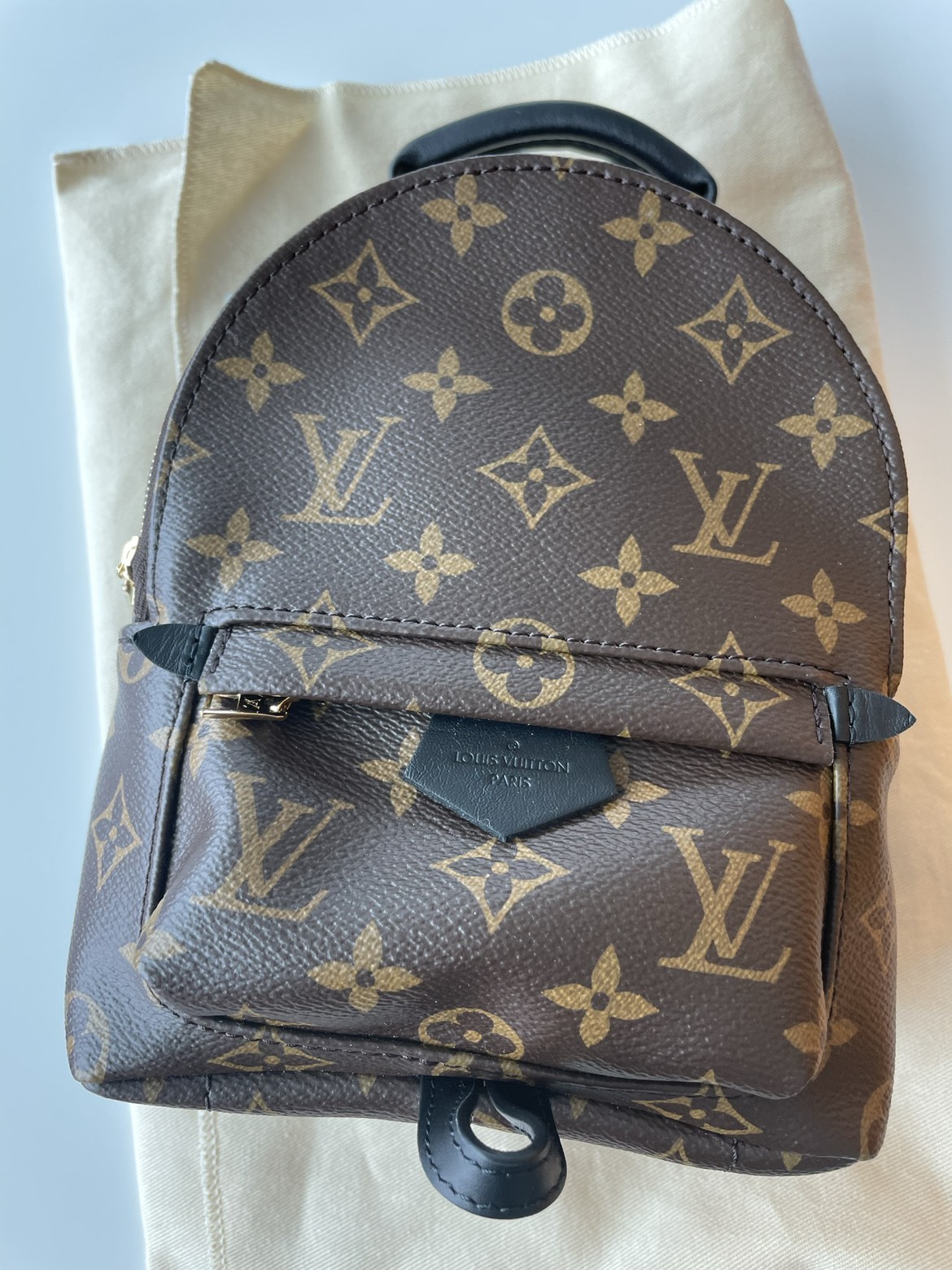 LV Palm Springs mini
