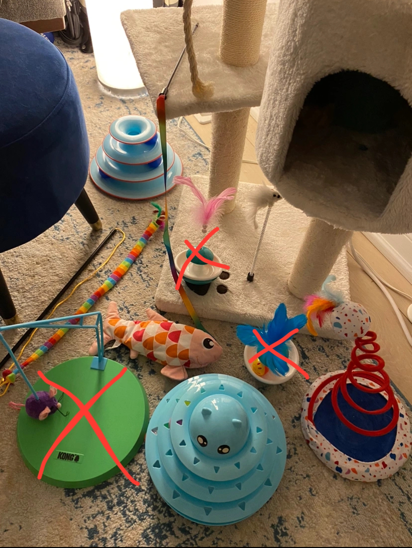 Cat toys