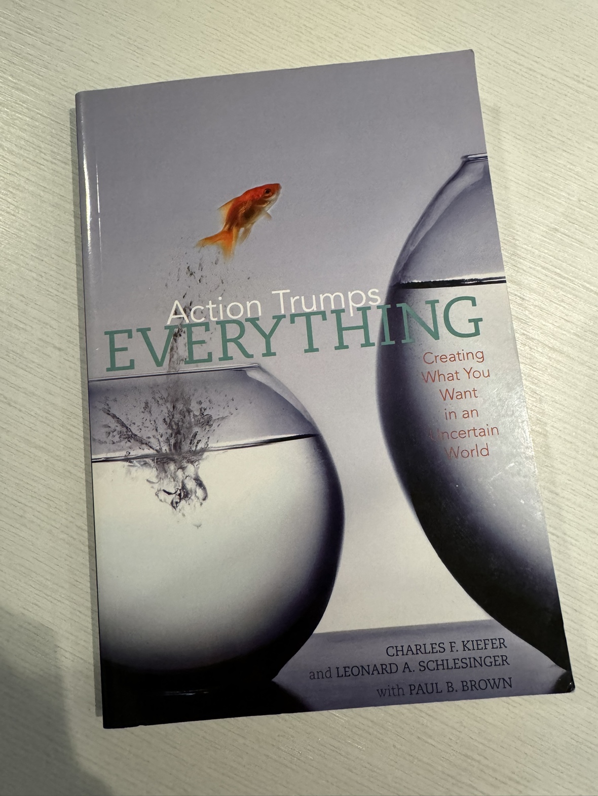 Action Trumps Everything Book thumbnail