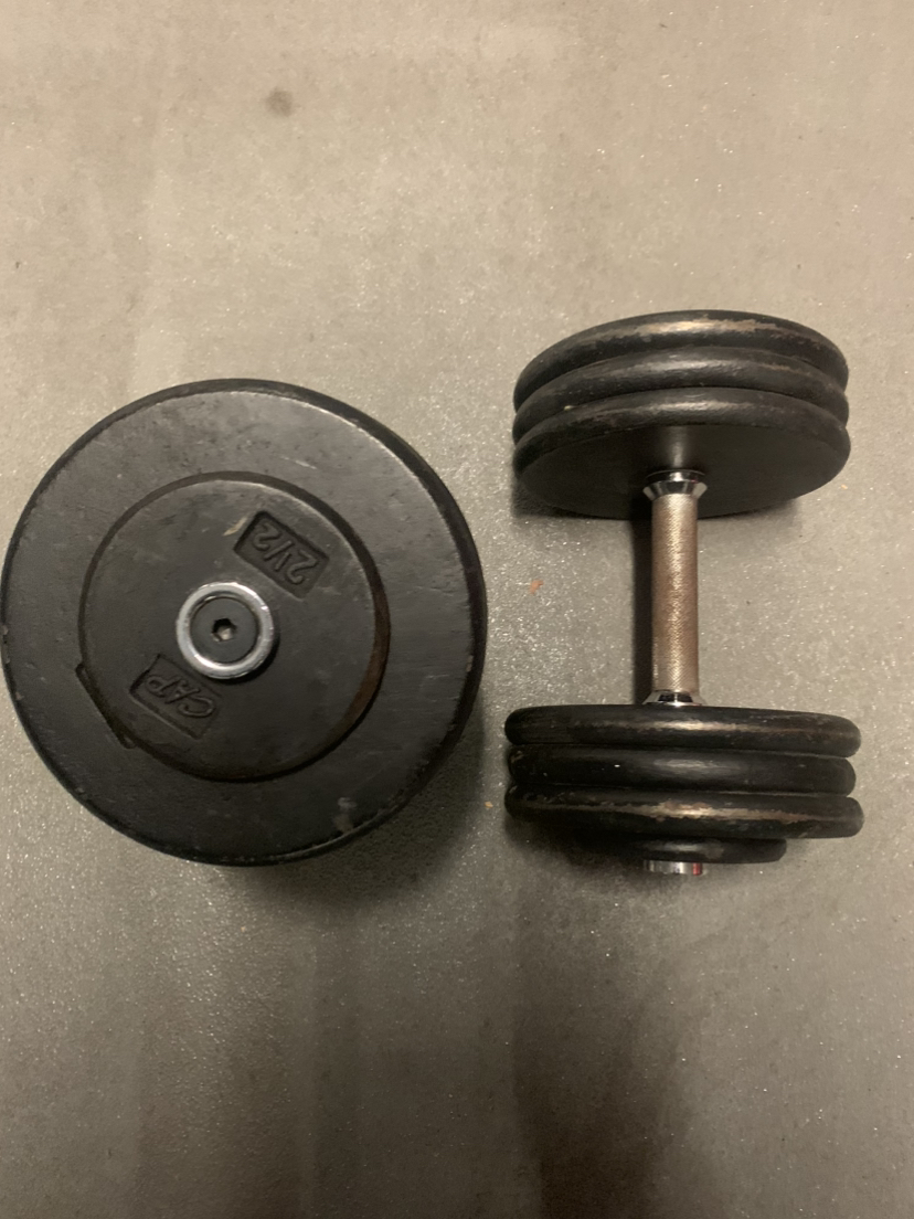 65lb Dumbbells thumbnail