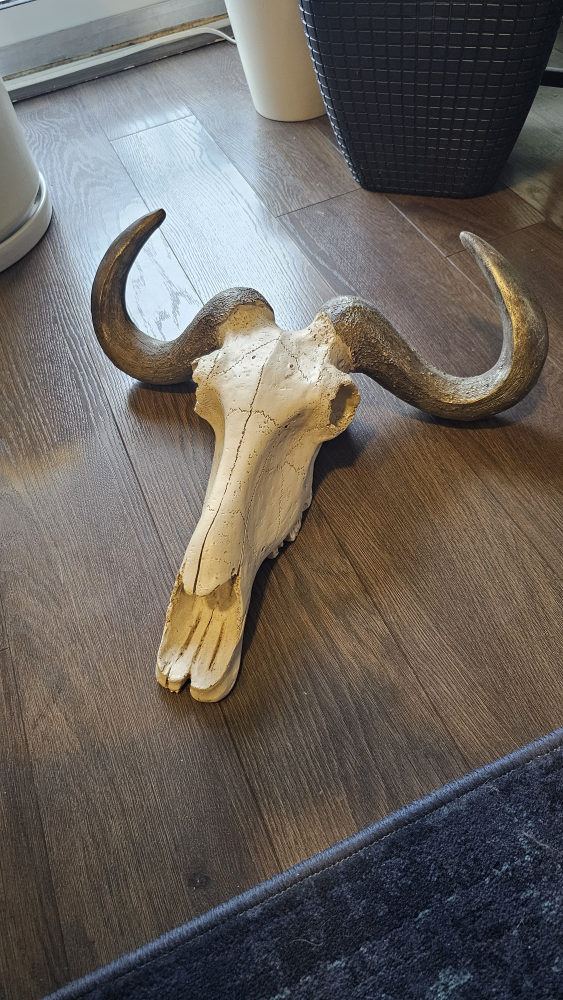 faux skull