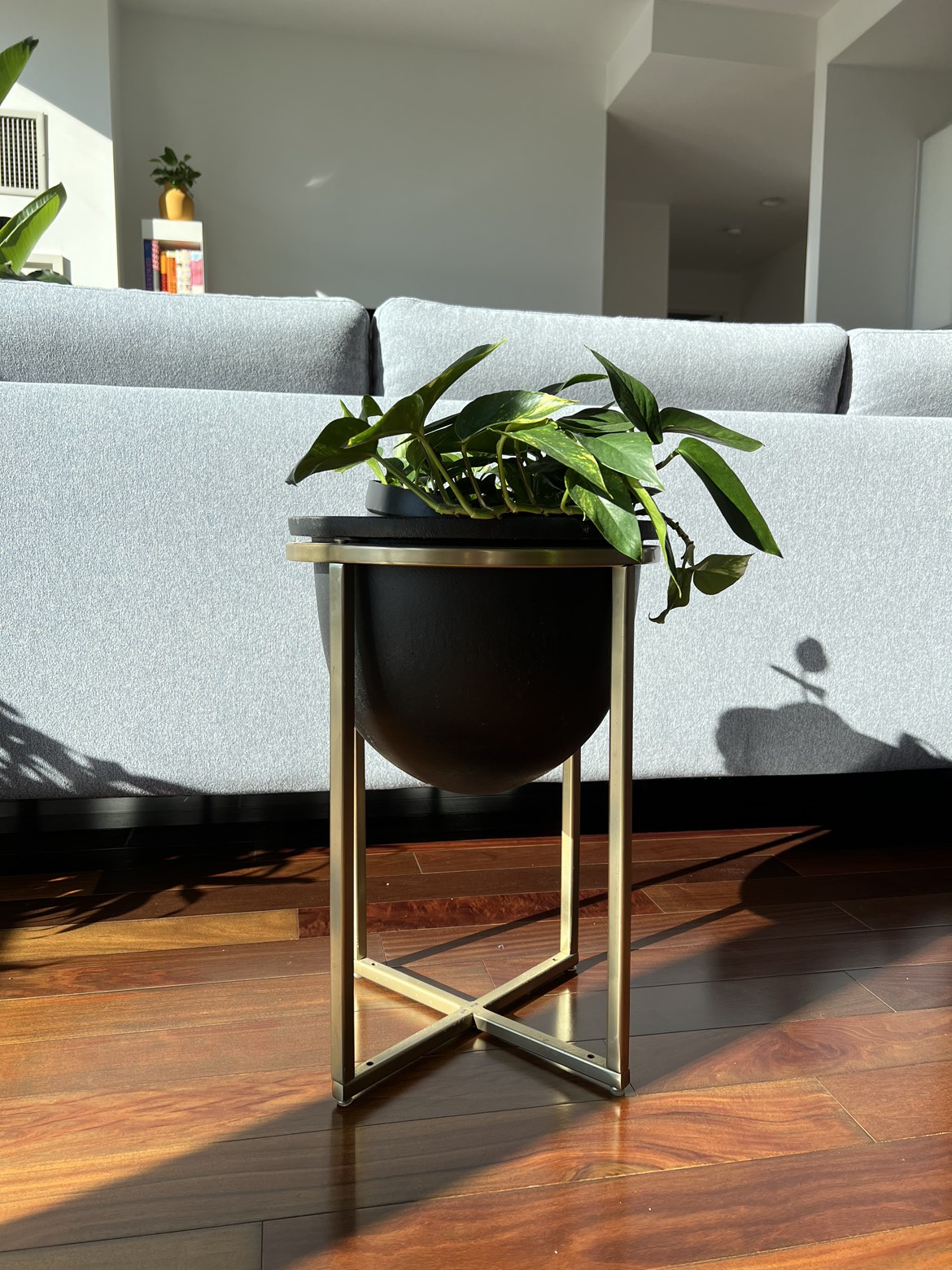 West elm Eden Cross Base Brass Standing Planter 13” D