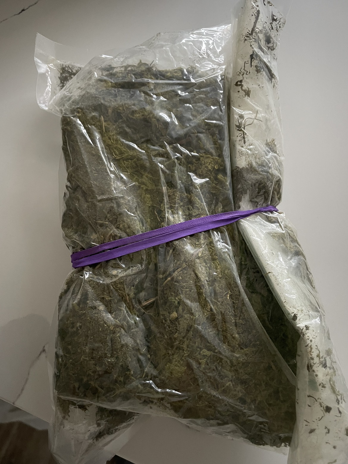 Moss for plants image indicator(2)