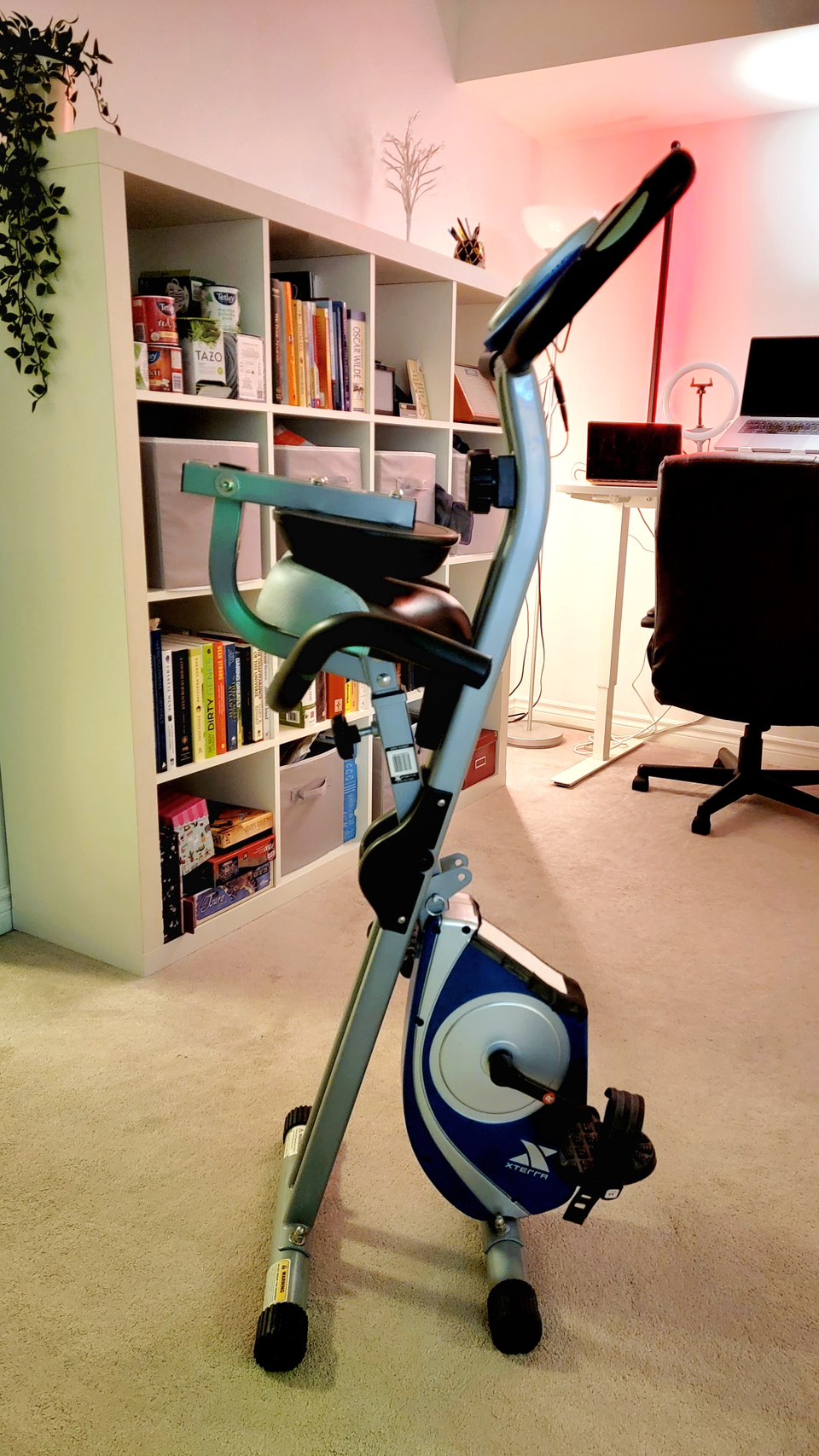 XTERRA Fitness FB350 Upright Folding Bike - photo 2