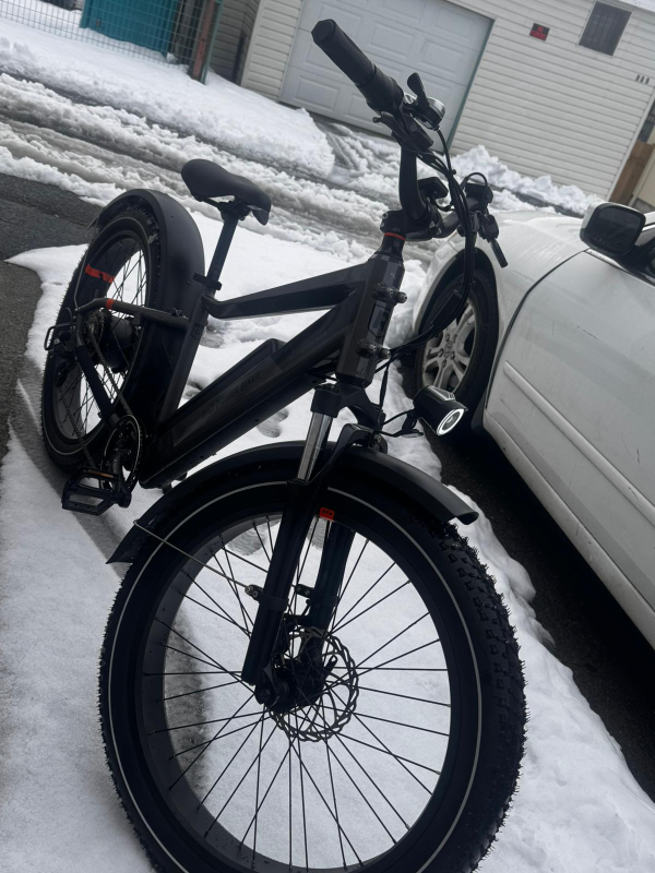 Rad Rover 6 Plus E-bike - photo 3