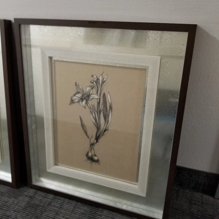 Framed art picture set