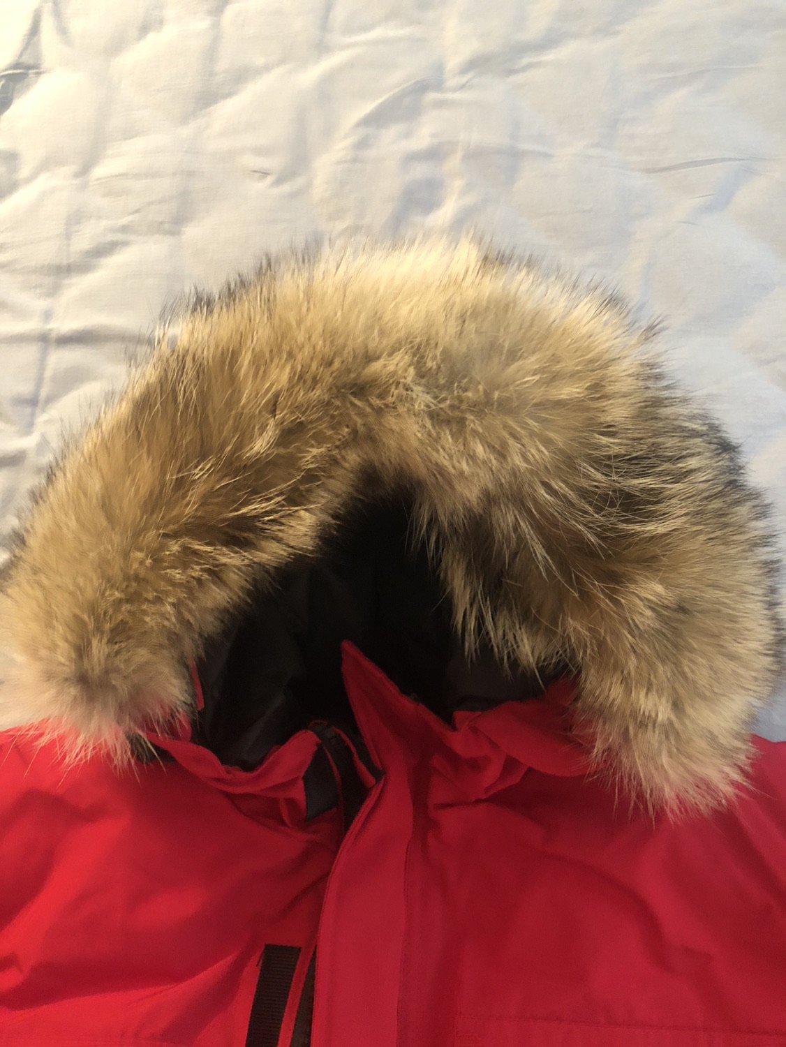 Canada goose jacket men’s size XS women Ssize S or M image indicator(3)