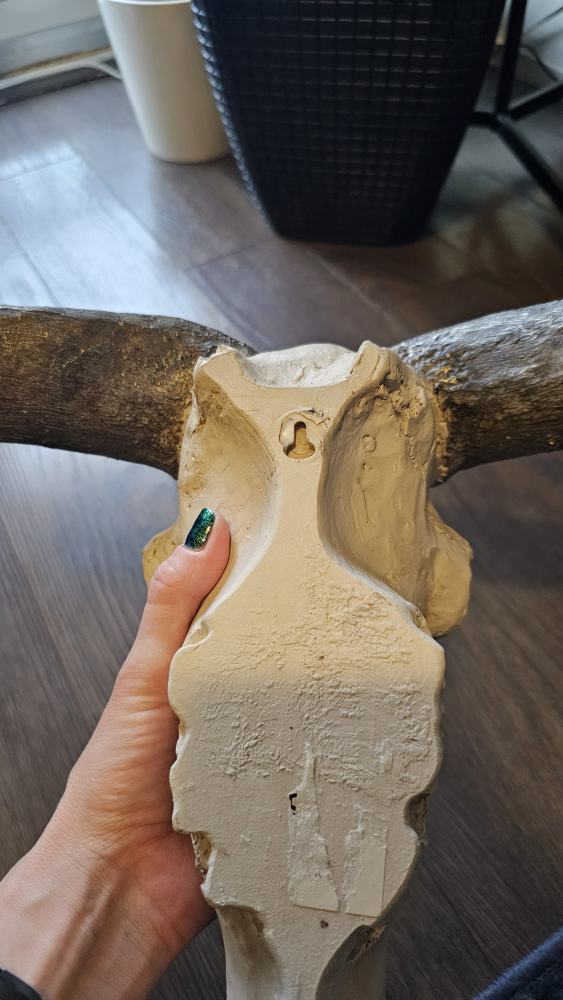 faux skull - photo 2