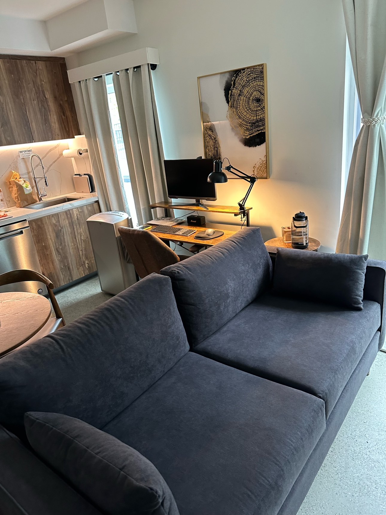 New Charcoal Couch image indicator(4)