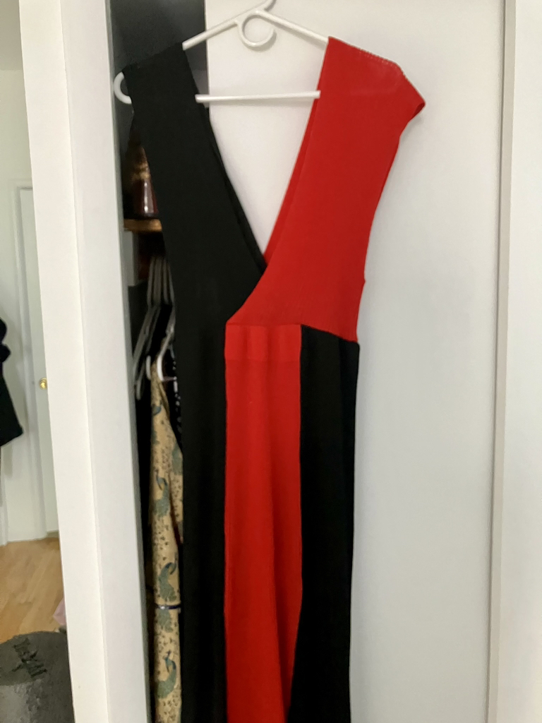 Zara dress 🥕