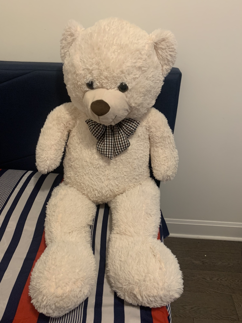 Giant Teddy Bear