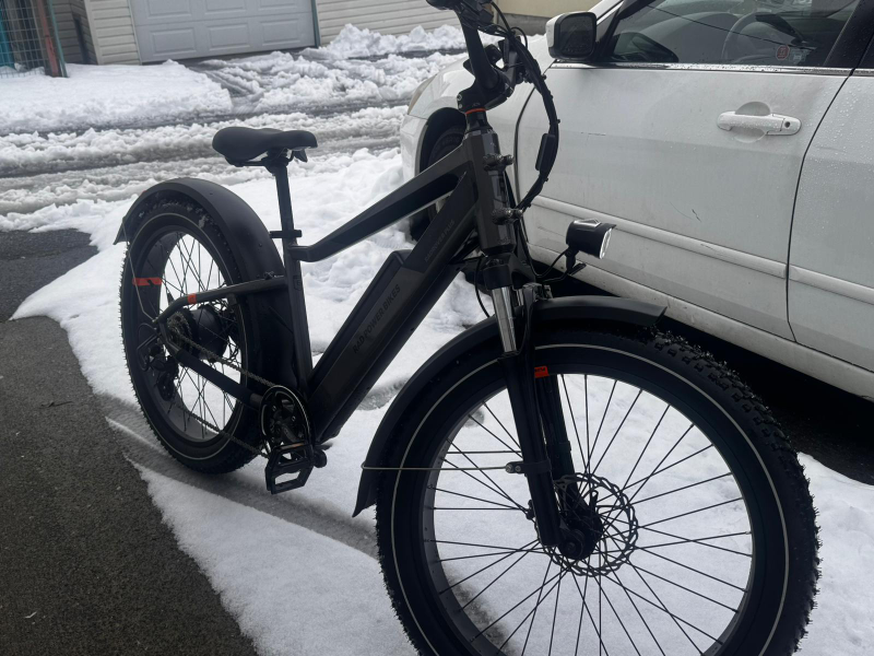 Rad Rover 6 Plus E-bike - photo 2