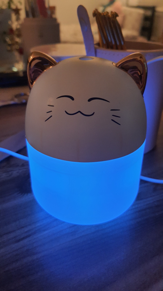 Water Diffuser image indicator(3)