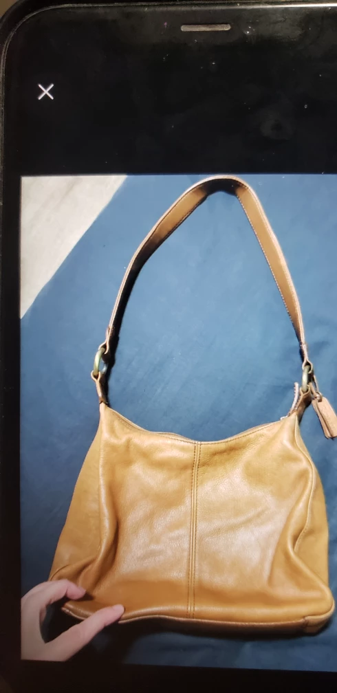 $10 Rolfs women bag