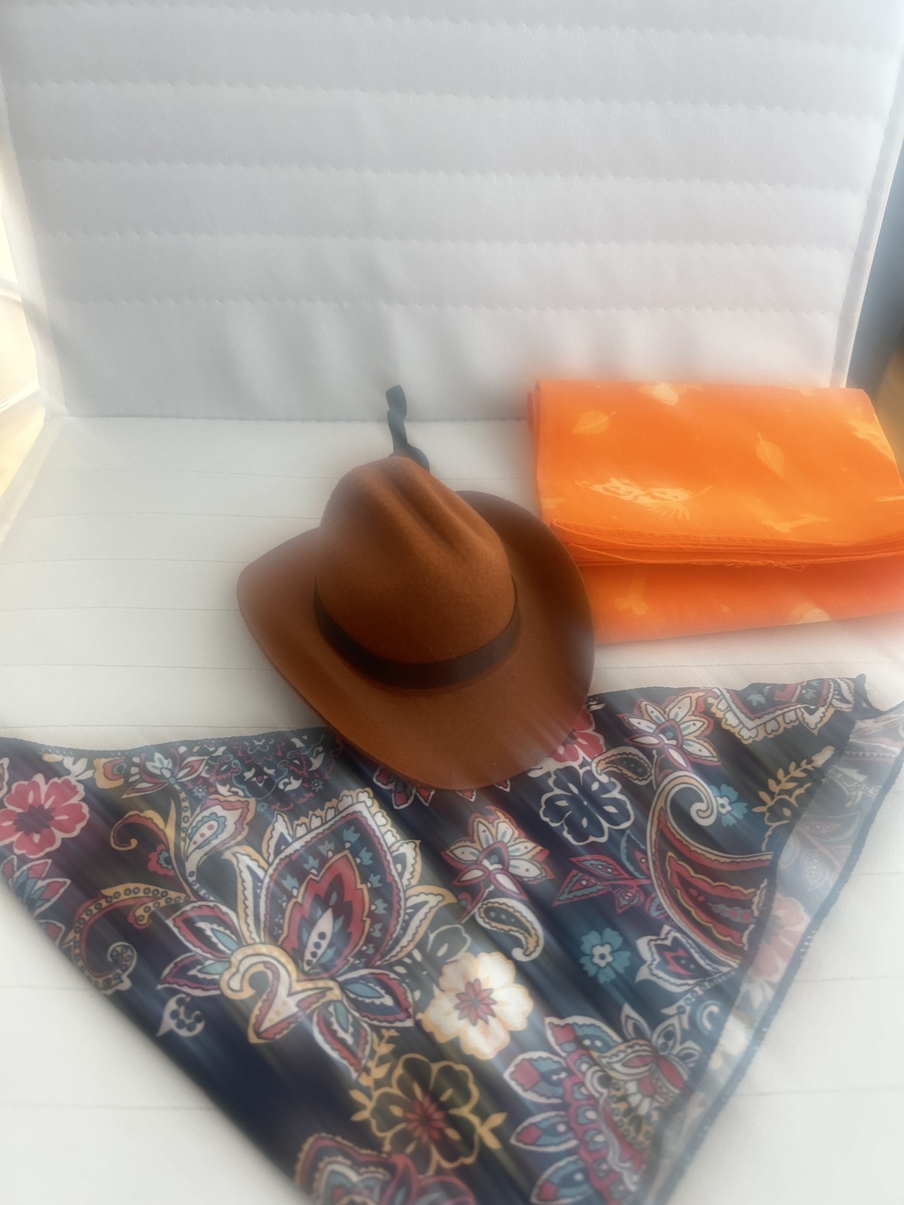 Small dog cowboy hat and bandana