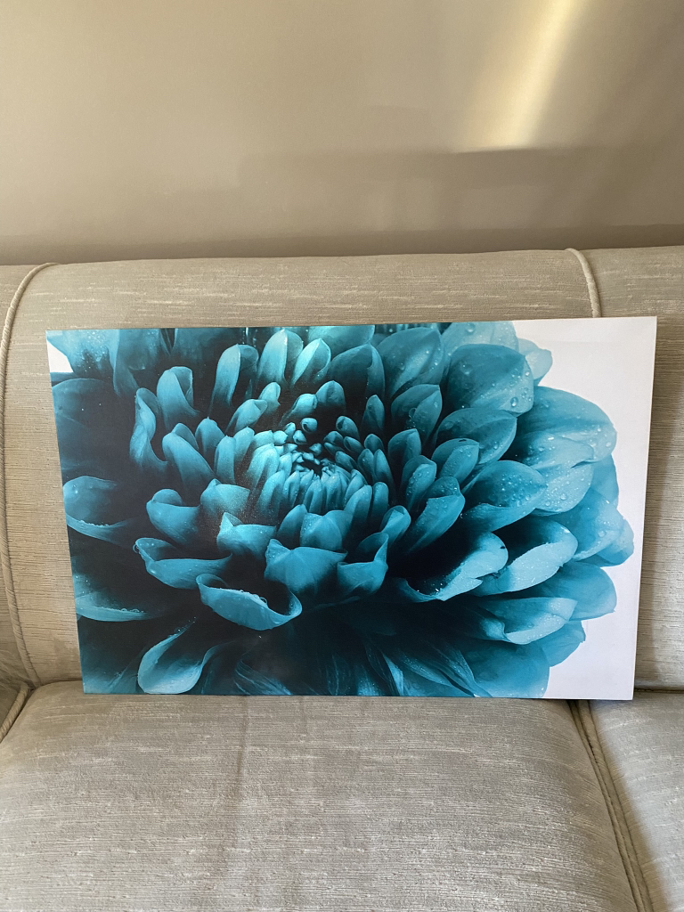 Canvas Prints - photo 2