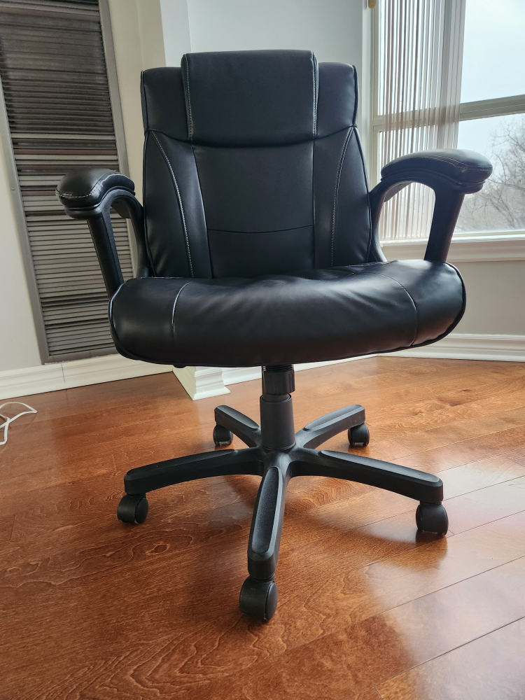 Office chair leather - pet free house