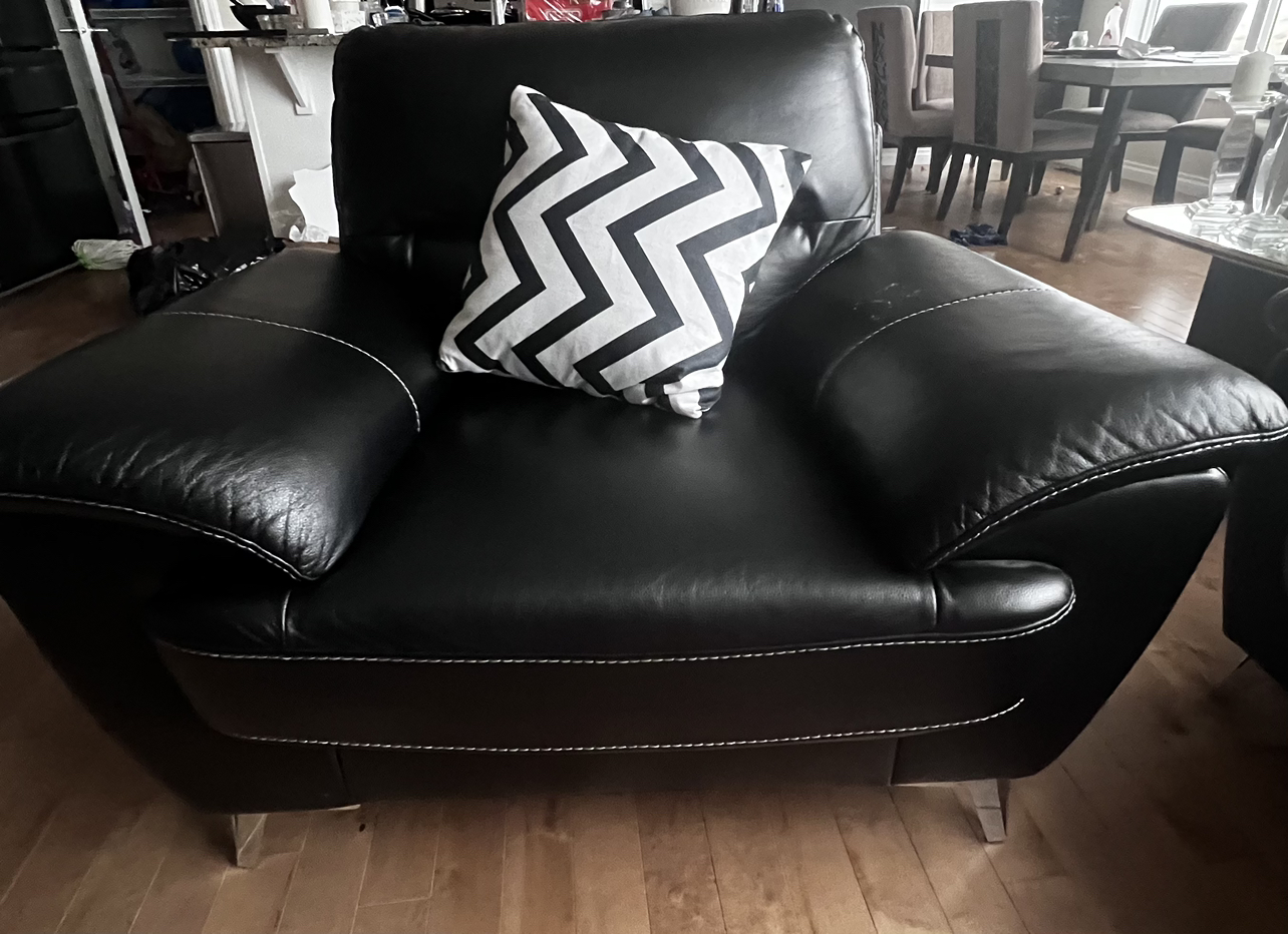 Olivia single and twin seater couch