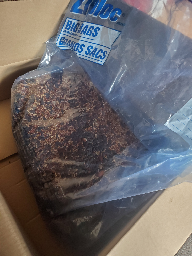 Bird food image indicator(2)