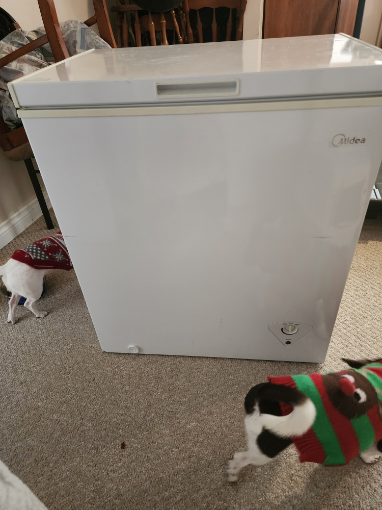 Small Freezer
