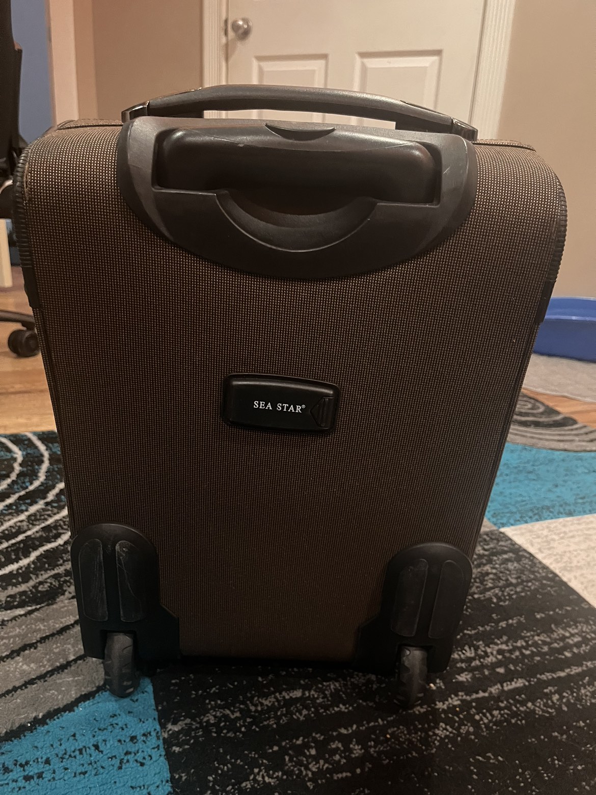 Carry On Luggage - photo 2