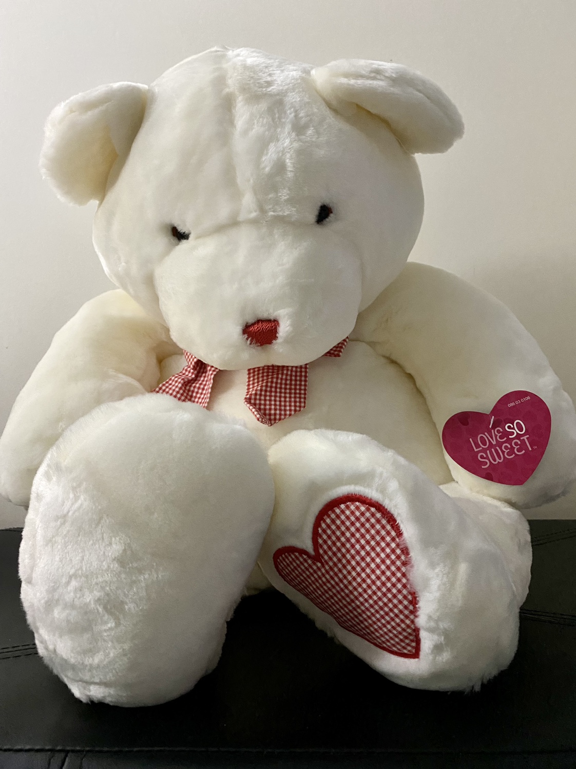 Valentines Love Bear