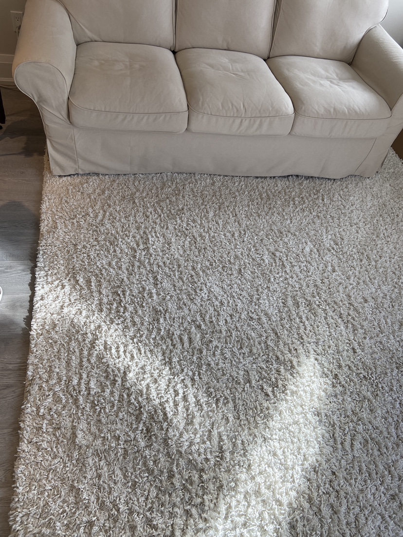 Moving sale Shag RUG 8’x10’ image indicator(2)